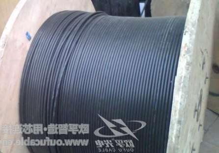 甘孜藏族自治州12芯GYXTW中心束管式光缆制作 欧孚GYXTW光缆特点