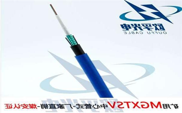 西藏欧孚MGXTSV-8B1 矿用单模阻燃光缆G652D纤芯煤安证书